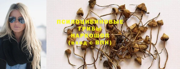 apvp Нефтекумск