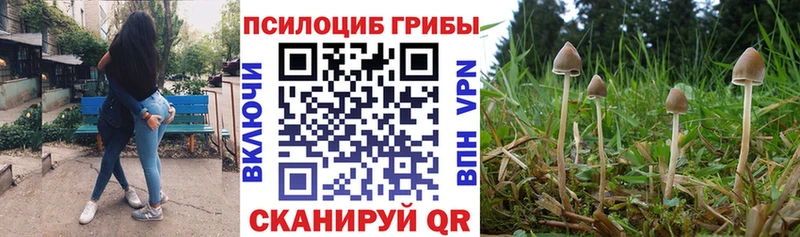 Галлюциногенные грибы Magic Shrooms  как найти закладки  Тогучин 